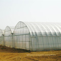 durable vegetable farm greenhouse film